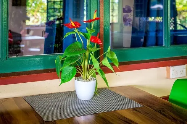 Tropical Lodge - Dış Mekan