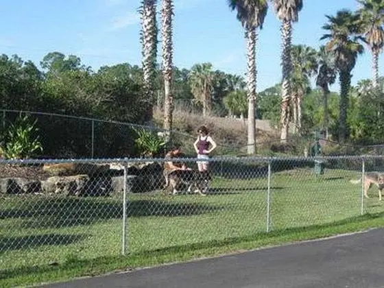 Tropical Palms Resort & Campground - 1