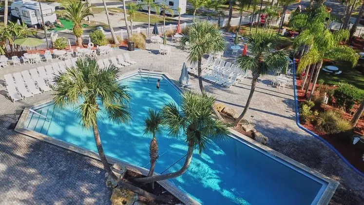 Tropical Palms Resort & Campground - Havuz