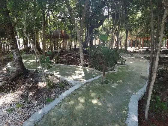 Tropical Paradise Apartment - Dış Mekan