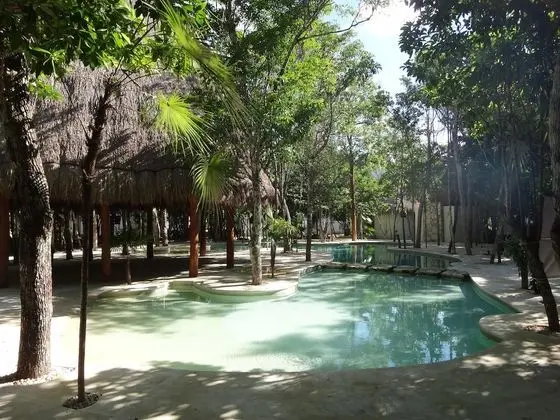 Tropical Paradise Apartment - Havuz
