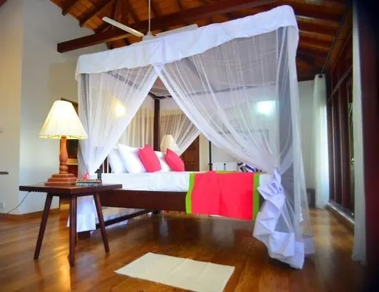 Tropical Retreat - Öne Çıkan Resim