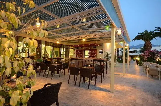 Tropical Sol - Bar