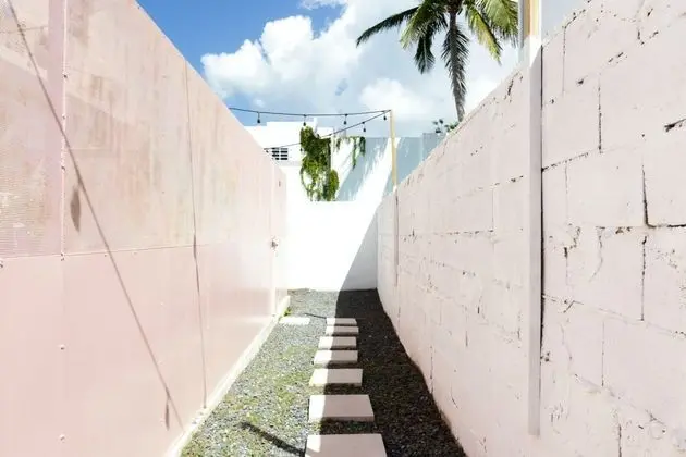 TROPICALIA by DW