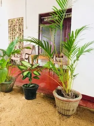 Tropicana homestay - Dış Mekan