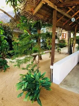 Tropicana homestay - İç Mekan