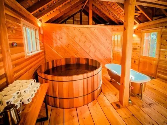 Trout Creek Wilderness Lodge - Havuz