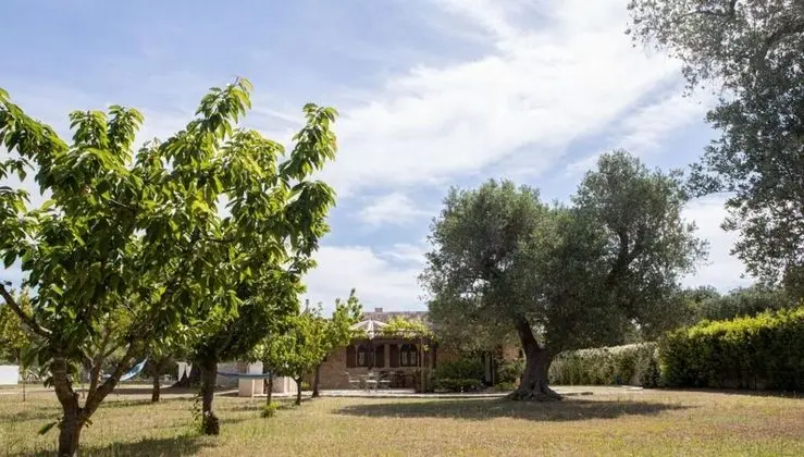 Trullo Degli Ulivi con Piscina e Idromassaggio - Oda