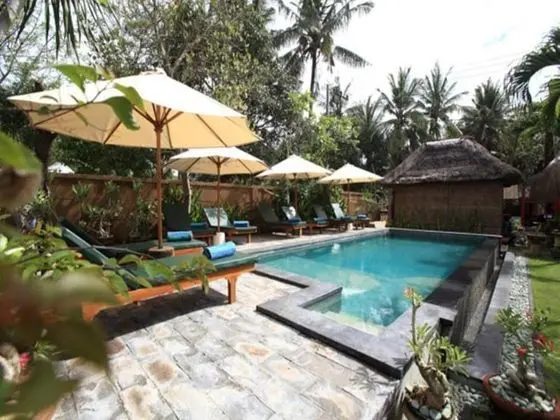 TS Hut Lembongan - Havuz