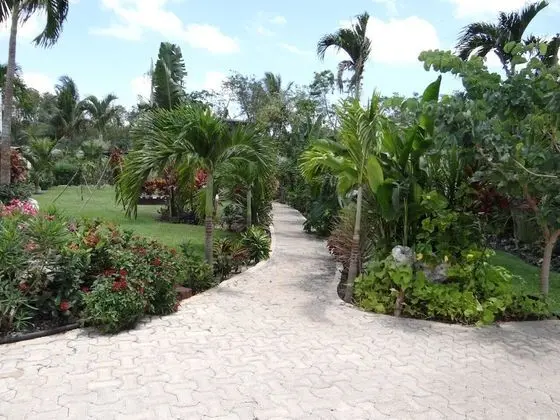 Tsaakik Jungle Hotel & Spa - Adults only - Dış Mekan