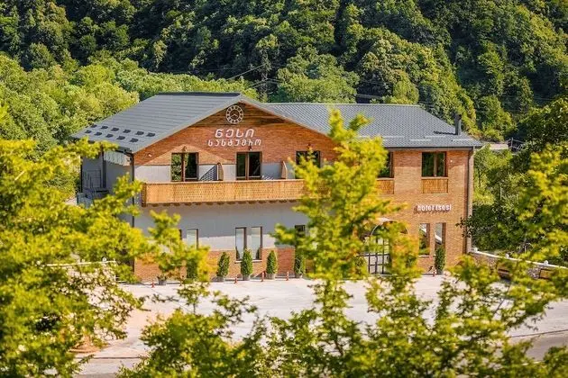 Hotel Tsesi