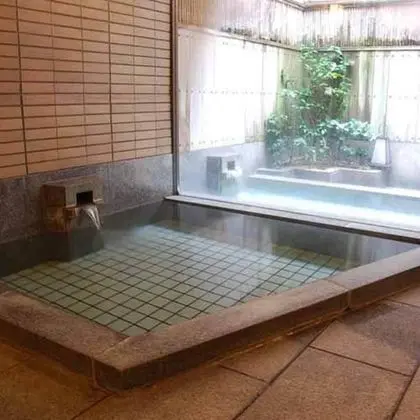 Tsubakino Ryokan - Spa