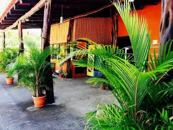 Tsunami Hotel