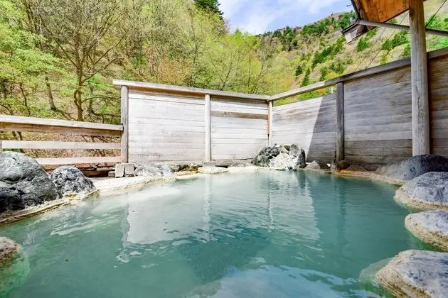 Tsuruya Ryokan