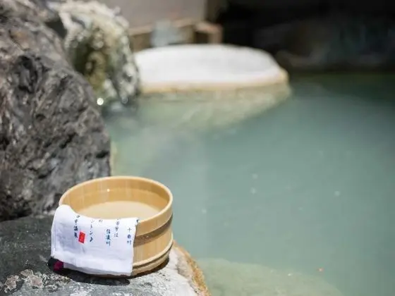 Tsuruya Ryokan