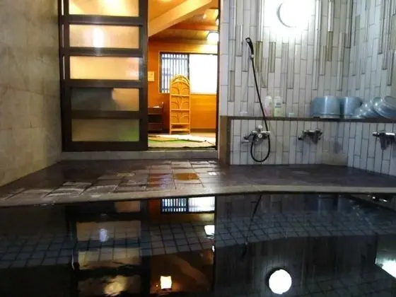 Tsutaya Ryokan - Spa