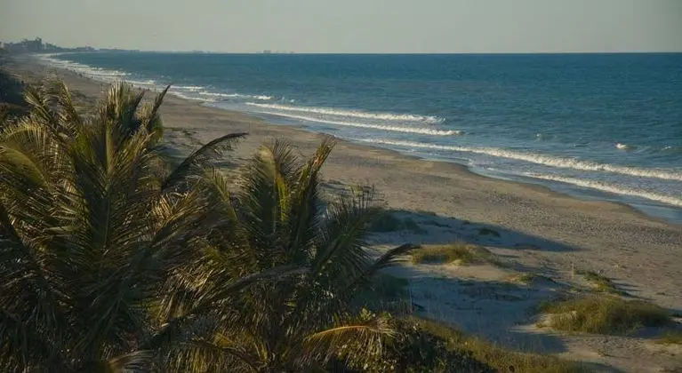 Tuckaway Shores Resort - Genel