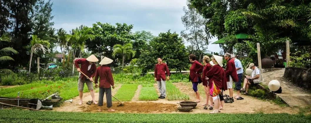 Tue Tam Villa - Oda