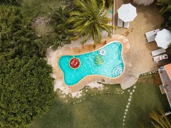 TUK Tropical Boutique Resort Jan Thiel - Havuz