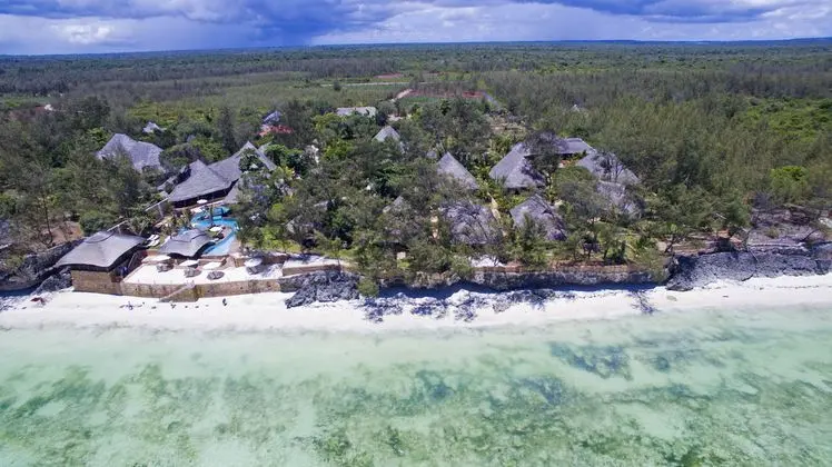 Tulia Zanzibar - Genel