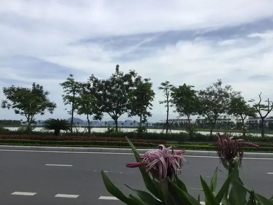 Tulip Homestay