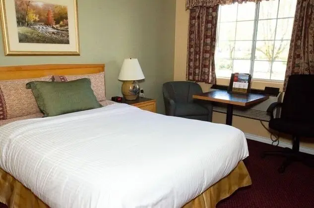 Tulip Inn - Oda