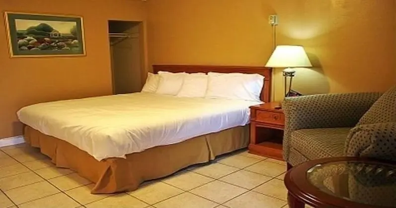 Tulip Motel