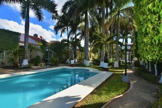 Tulipanes Cancun