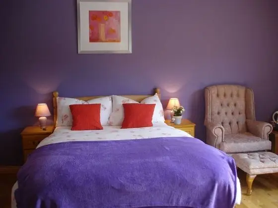 Tullaleagan Guesthouse - Oda