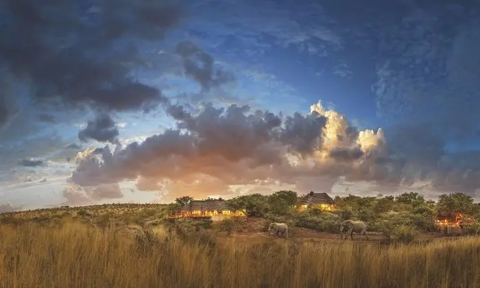 Tuningi Safari Lodge