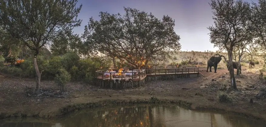 Tuningi Safari Lodge - Dış Mekan