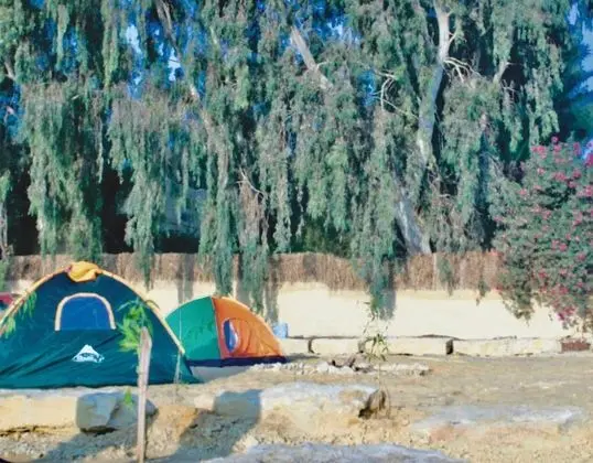Tunis Tone - Tunis Village Campsite