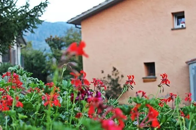 Turisme Rural El Janpere - Dış Mekan