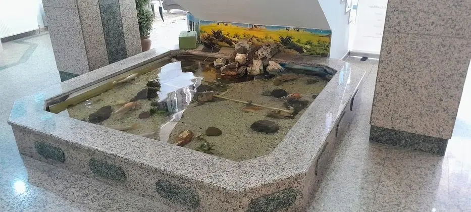 Turk Inn Uzcan Hotel - Havuz