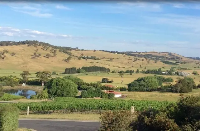 Turners Vineyard Motel and Function Centre - Dış Mekan