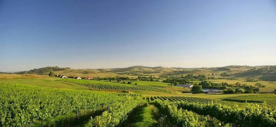 Turners Vineyard Motel and Function Centre - Öne Çıkan Resim