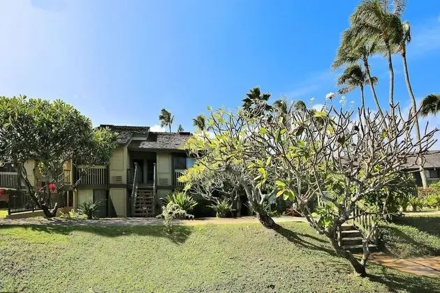 Turtle Bay Bird Of Paradise**ta-086947840001 2 Bedroom Condo by RedAwning