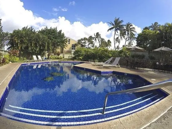 Turtle Bay Kekoa*ta-185993420801 1 Bedroom Condo by RedAwning - Havuz
