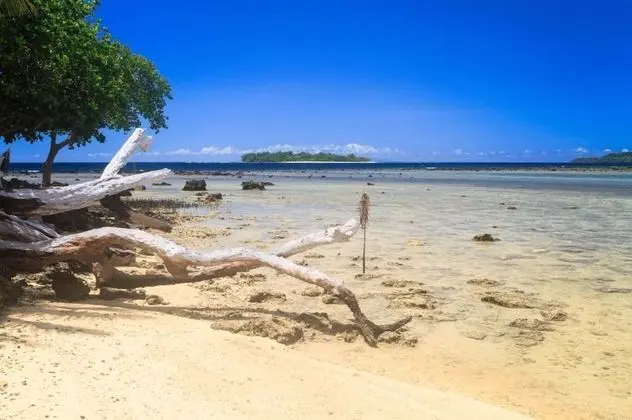 Turtle Bay Lodge - Plaj