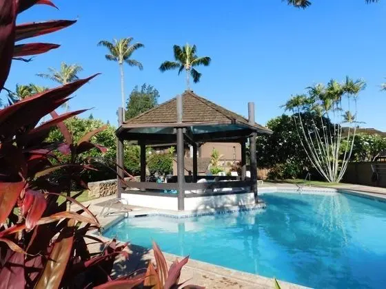 Turtle Bay Sea Shells**ta-154567065601 1 Bedroom Condo by RedAwning - Havuz