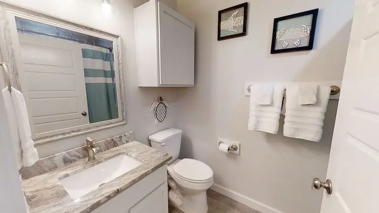 Turtle-licious-15117 - Banyo Tipleri