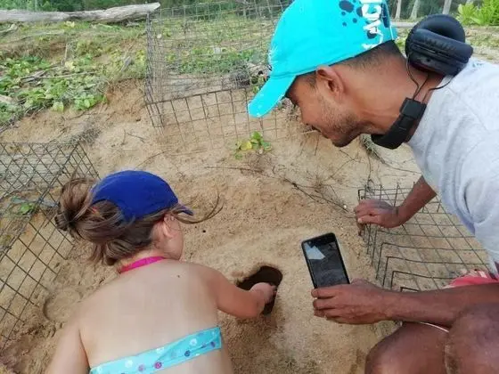 Turtle Paradise - Plaj