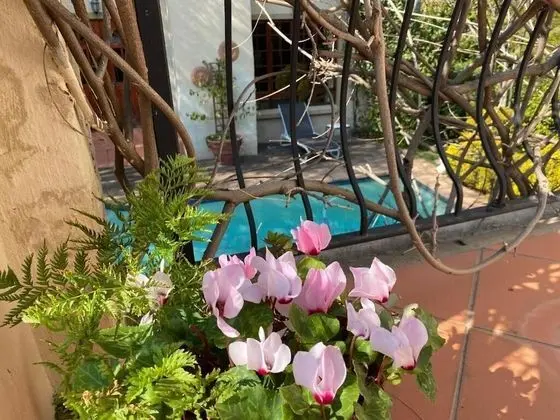 Tuscan Rose - Dış Mekan