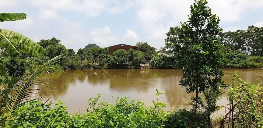 Tuyet's Homestay