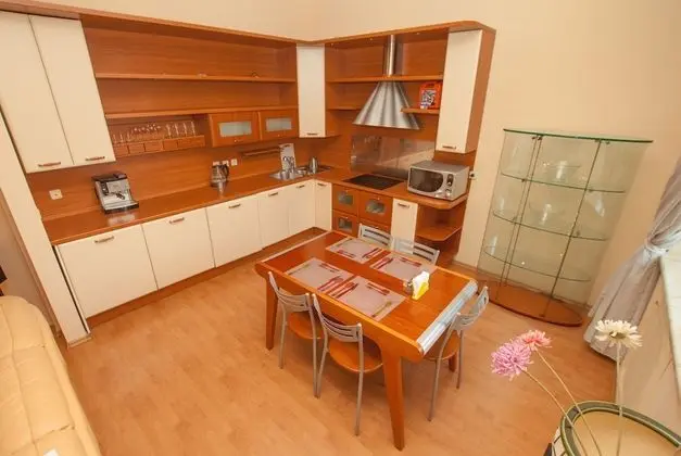 TVST Apartments 1 Tverskaya-Yamskaya 13 - Mutfak