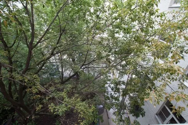 TVST Apartments Kamergerskiy Pereulok - Dış Mekan