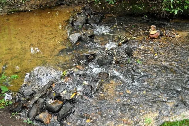 Twin Creeks- Near Ocoee River