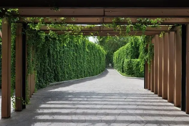 Twin Lotus Resort and Spa - ADULT ONLY - Dış Mekan