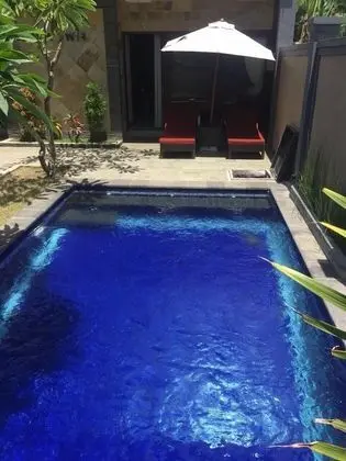 Villa Twin Lovina - Havuz