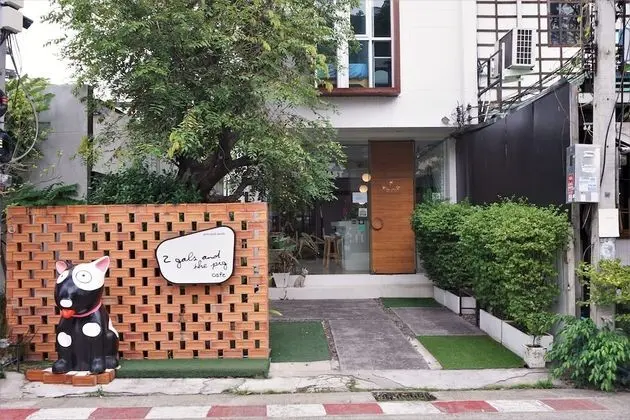 Two Gals And The Pig